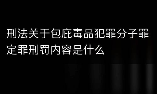 刑法关于包庇毒品犯罪分子罪定罪刑罚内容是什么