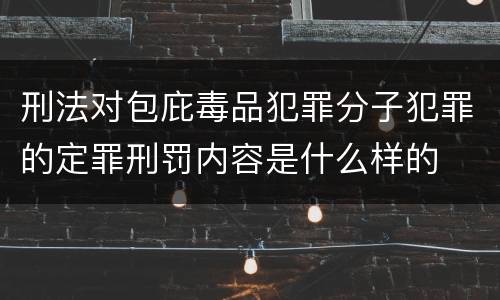 刑法对包庇毒品犯罪分子犯罪的定罪刑罚内容是什么样的