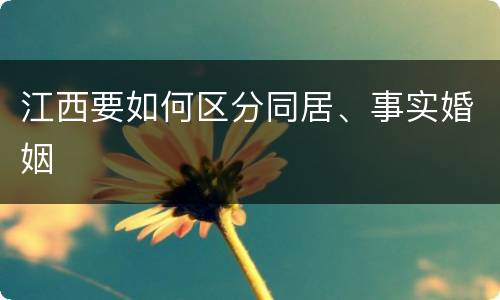 江西要如何区分同居、事实婚姻