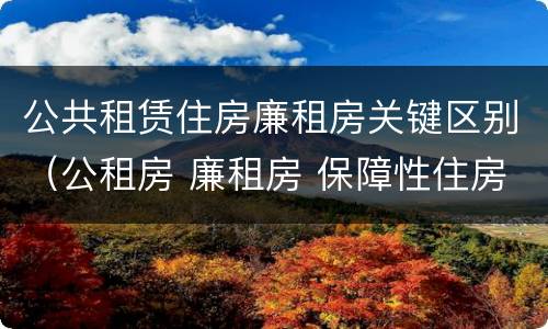 公共租赁住房廉租房关键区别（公租房 廉租房 保障性住房区别）