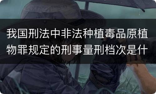 我国刑法中非法种植毒品原植物罪规定的刑事量刑档次是什么
