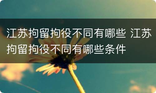 江苏拘留拘役不同有哪些 江苏拘留拘役不同有哪些条件
