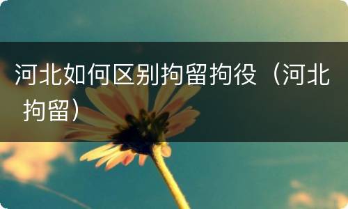 河北如何区别拘留拘役（河北 拘留）