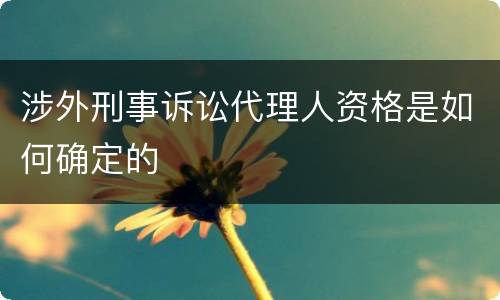 涉外刑事诉讼代理人资格是如何确定的