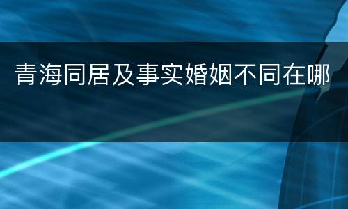 青海同居及事实婚姻不同在哪