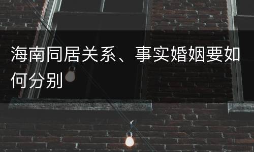 海南同居关系、事实婚姻要如何分别