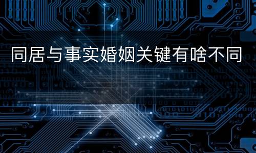 同居与事实婚姻关键有啥不同