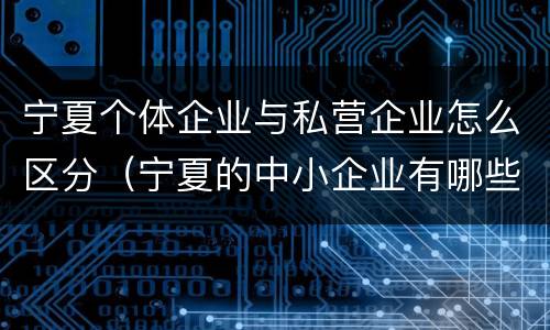 宁夏个体企业与私营企业怎么区分（宁夏的中小企业有哪些）