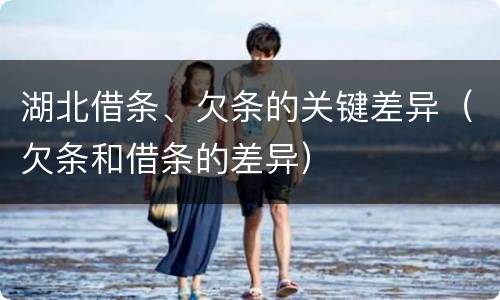 湖北借条、欠条的关键差异（欠条和借条的差异）