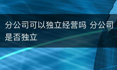 分公司可以独立经营吗 分公司是否独立