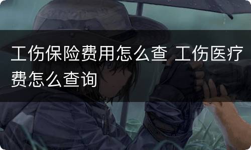 工伤保险费用怎么查 工伤医疗费怎么查询