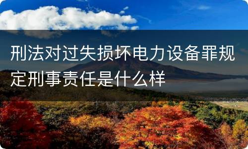 刑法对过失损坏电力设备罪规定刑事责任是什么样