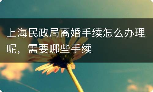 上海民政局离婚手续怎么办理呢，需要哪些手续