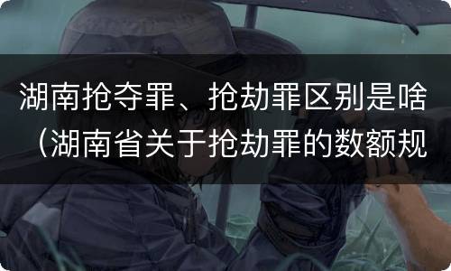 湖南抢夺罪、抢劫罪区别是啥（湖南省关于抢劫罪的数额规定）