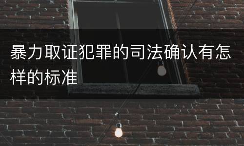 暴力取证犯罪的司法确认有怎样的标准