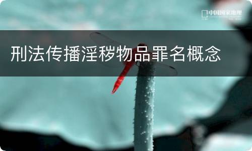 刑法传播淫秽物品罪名概念