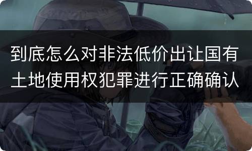 到底怎么对非法低价出让国有土地使用权犯罪进行正确确认