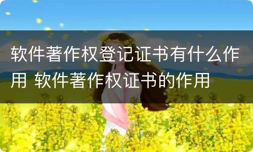 软件著作权登记证书有什么作用 软件著作权证书的作用