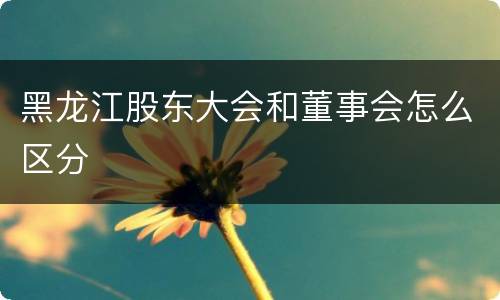 黑龙江股东大会和董事会怎么区分