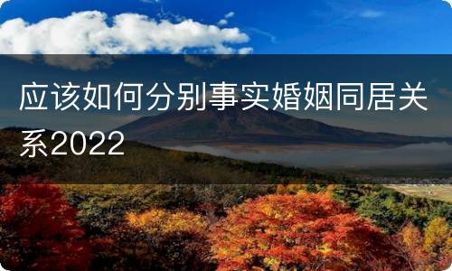 应该如何分别事实婚姻同居关系2022