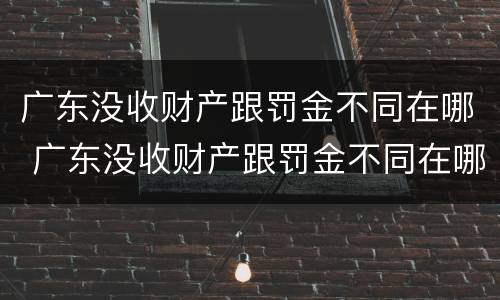 广东没收财产跟罚金不同在哪 广东没收财产跟罚金不同在哪缴纳