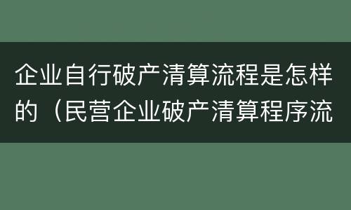 企业自行破产清算流程是怎样的（民营企业破产清算程序流程）