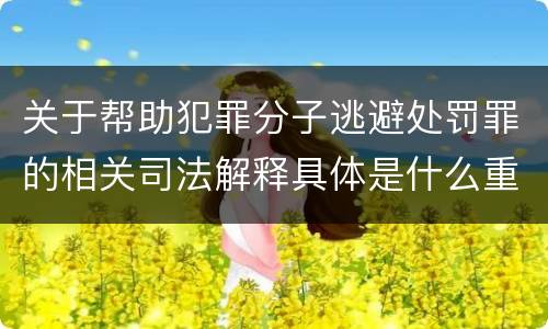 关于帮助犯罪分子逃避处罚罪的相关司法解释具体是什么重要内容