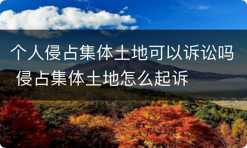 个人侵占集体土地可以诉讼吗 侵占集体土地怎么起诉