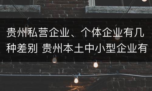 贵州私营企业、个体企业有几种差别 贵州本土中小型企业有哪些