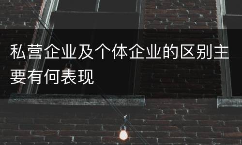 私营企业及个体企业的区别主要有何表现
