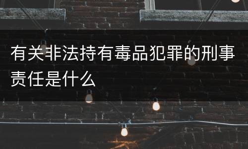 有关非法持有毒品犯罪的刑事责任是什么