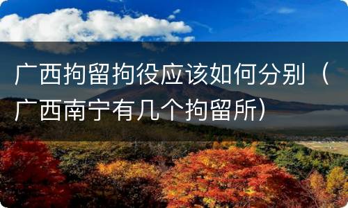 广西拘留拘役应该如何分别（广西南宁有几个拘留所）