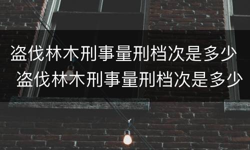 盗伐林木刑事量刑档次是多少 盗伐林木刑事量刑档次是多少级