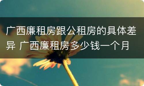 广西廉租房跟公租房的具体差异 广西廉租房多少钱一个月