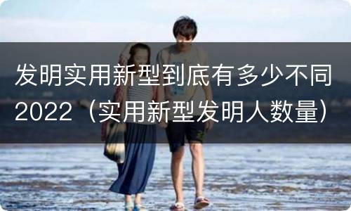 发明实用新型到底有多少不同2022（实用新型发明人数量）