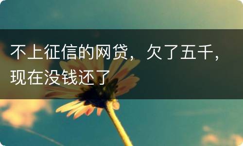 不上征信的网贷，欠了五千，现在没钱还了
