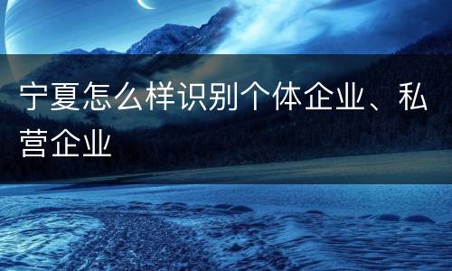 宁夏怎么样识别个体企业、私营企业