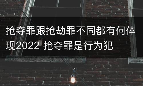 抢夺罪跟抢劫罪不同都有何体现2022 抢夺罪是行为犯