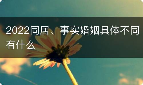 2022同居、事实婚姻具体不同有什么