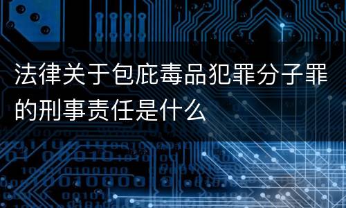 法律关于包庇毒品犯罪分子罪的刑事责任是什么