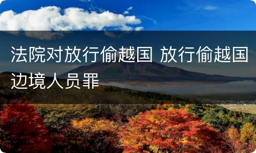 法院对放行偷越国 放行偷越国边境人员罪