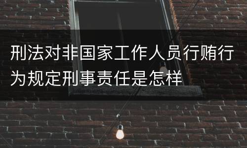 刑法对非国家工作人员行贿行为规定刑事责任是怎样