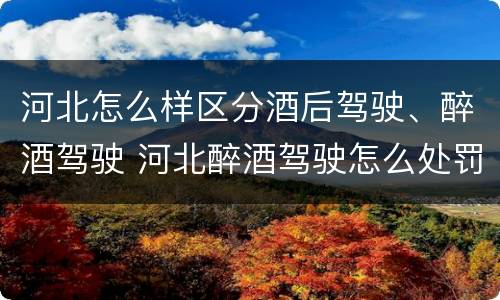 河北怎么样区分酒后驾驶、醉酒驾驶 河北醉酒驾驶怎么处罚
