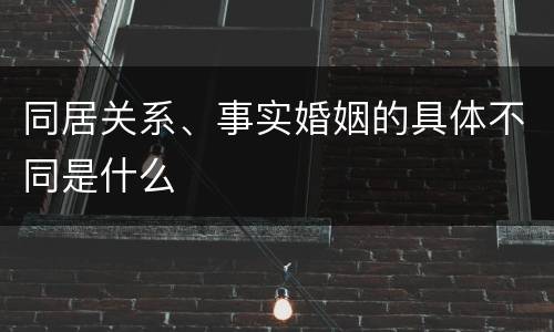 同居关系、事实婚姻的具体不同是什么