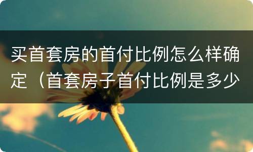 买首套房的首付比例怎么样确定（首套房子首付比例是多少）