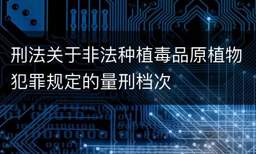 刑法关于非法种植毒品原植物犯罪规定的量刑档次