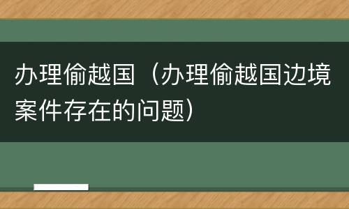 办理偷越国（办理偷越国边境案件存在的问题）