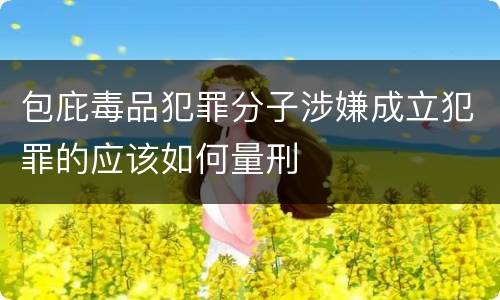 包庇毒品犯罪分子涉嫌成立犯罪的应该如何量刑