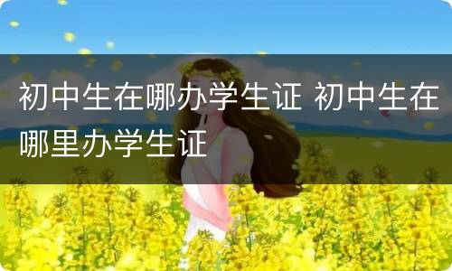 初中生在哪办学生证 初中生在哪里办学生证