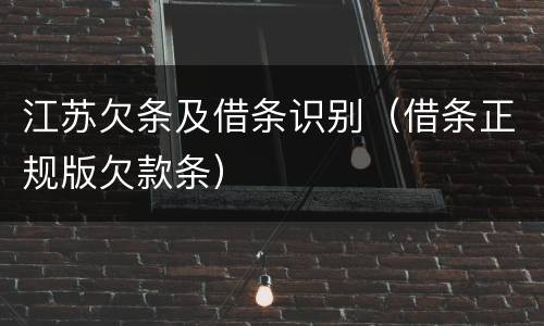 江苏欠条及借条识别（借条正规版欠款条）